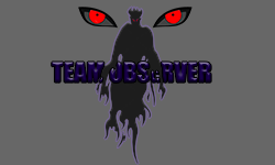 Team Observer