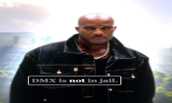 DMX Disciples