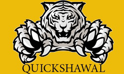 QuickShawl
