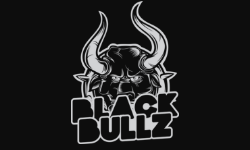 Black Bullz Gaming