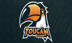 Toucan Gaming