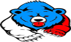 Invincible Bears