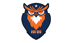 NEW OWL GAMING