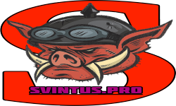 Svintus Professional Gaming