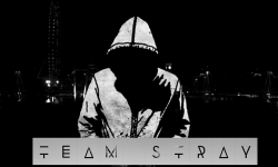 Team stray