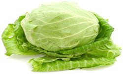 Cabbage