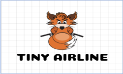 Tiny Airline
