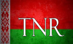 Team_N_R