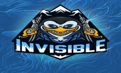 Invisible Team