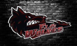 Elite Wolves