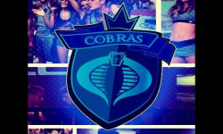 Las cobras EEG