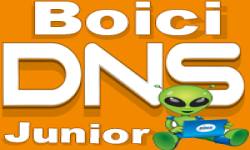 BOICI_DNS.Junior