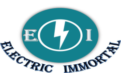 Electric Immortal