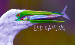 LSD Gaming