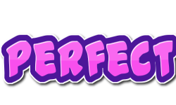 Team PerFect-