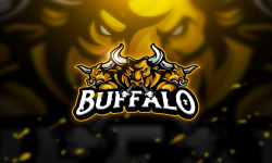 BUFFALOS SPORT