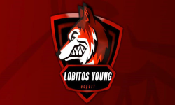 Lobitos Young