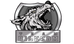 Team DIlecom