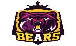 BearS Team