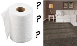 What's the difference between carpet and toilet paper?