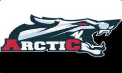 Artic Gaming Group