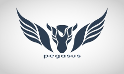 Pegasus