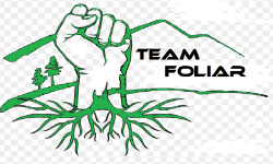 Team Foliar