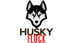 Husky.Flock
