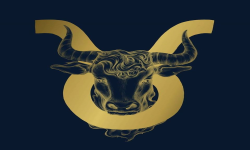 Team Taurus