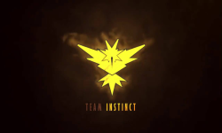 Instinct Team