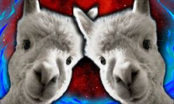 Team Llamaz
