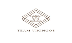 Team Vikingos