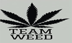 Team.WeeD