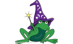 Leo Frog Wizard and company