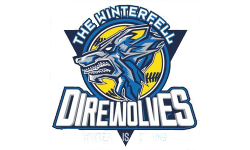 DireWolves Team.