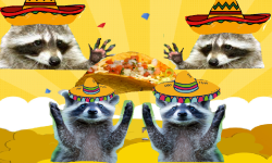 4 RACOONS AND A TACO