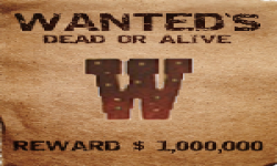 Wanted's