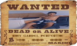 WANTED