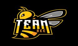 TEAM BEE