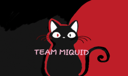 team MIQUID