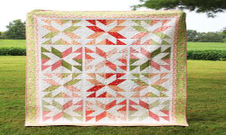 The Comfy Quilts