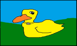 Warwick Ducks