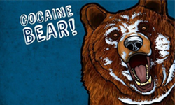 Bear Cocaine!!!