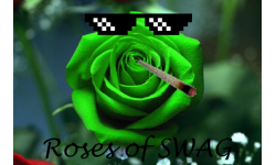 Roses of SWAG