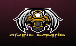 TEAM Divine Gaming :3