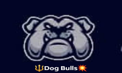 Dog Bulls