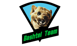 Bashtel Team