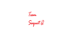 Team Saquito