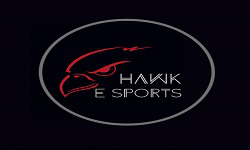 Hawk Esports