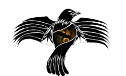 Black Raven Brasil